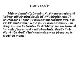     
GMOs คืออะไร
     ได้มีการนำาเทคโนโลยีทางด้านพันธุวิศวกรรมมาประยุกต์
ใช้ในการปรับปรุงพันธุ์พืชเพื่อให้ได้พันธุ์พืชที่มีคุณสมบัติ
ตามที่ต้องการ โดยนำาหน่วยพันธุกรรมจากสิ่งมีชีวิตหนึ่งถ่าย
เข้าไปรวมหรือร่วมอย่างถาวรกับหน่วยพันธุกรรมกับหน่วย
พันธุกรรม ของพืชอีกชนิดหนึ่ง ทำาให้สามารถแสดงลักษณะที่
ไม่เคยมีอยู่ในธรรมชาติสำาหรับพืชชนิดนั้น พืชชนิดนั้นจึง
เรียกว่าเป็น พืชที่ได้รับตัดต่อสารพันธุกรรม (Genetically
Modified Plants)
 