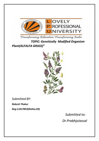 TOPIC: Genetically Modified Organism
Plant(ALFALFA GRASS)”
Submitted BY:
Rakesh Thakur
Reg:11617853(Rollno.03)
Submitted to:
Dr.PrabhjoJassal
 
