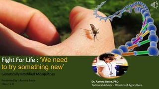Fight For Life : ‘We need
to try something new’
Genetically Modified Mosquitoes
Presented by : Aamna Basra
Class : 6 D
Dr. Aamna Basra, PhD.
Technical Advisor - Ministry of Agriculture.
 
