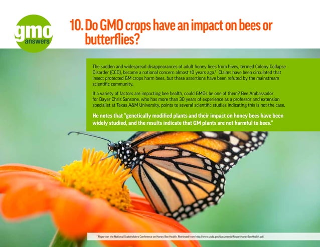 GMO Answers Top 10 Questions | PPT