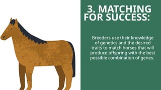 Selective Breeding Grade 9 Output GMO_Breeding.pptx