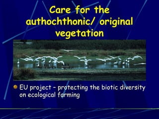 Care for the authochthonic/ original vegetation International convention of biotic diversity FAO contract on plant and genetic food and agriculture resources EU common programme for plant gene resources net EU project – protecting the biotic diversity on ecological farming 