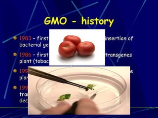 GMO - history 1983  – first plant transforma tion  ( insertion of bacterial gene   in  toba cco plant ) 1986  –  first field experiment with transgenes plant  (toba cco plant ) 1992  –  first   economic  pr oduct i on of transgene plant  ( virus resistant tobacco plant ,  China ) 1994  –  first   economic (market)  pr oduct i on of transgene plant   for food  ( tomato with slow decrease of softening USA) 