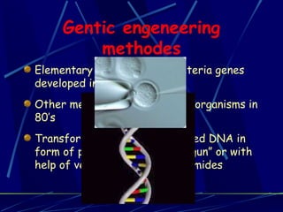 Gentic engeneering methodes Elementary methodes for bacteria genes developed in early 60’s Other methodes for different organisms in 80’s Transformation = insert of naked DNA in form of plasmides using “gene gun” or with help of vectors – bacterial plasmides 