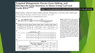 http://www.plantphysiol.org/content/169/2/931.full.pdf+html
 