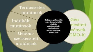 Indukált
mutánsok
Természetes
mutánsok
Genom-
szerkesztett
mutánsok
Gén-
nemesített
növények
(~GMO-k)
HT
növények
Betegségellenálló,
más összetételű:
olajok,
szénhidrátok,
tápfehérjék,
antioxidánsok,
más színű
…
 
