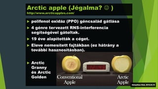 Arctic apple (Jégalma?  )
http://www.arcticapples.com/
 polifenol oxidáz (PPO) géncsalád gátlása
 4 génre tervezett RNS-interferencia
segítségével gátoltak.
 19 éve alapították a céget.
 Eleve nemesített fajtákban (ez hátrány a
további hasznosításban).
 Arctic
Granny
és Arctic
Golden
Szkeptikus Klub, 2016.04.19
 