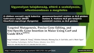 http://www.plantphysiol.org/content/169/2/931.full.pdf+html
A cikkben szereplő egyik kukorica genomszerkesztett mutáns az ALS génben
Cultivance szója (BASF) mutáns A. thaliana ALS gén beépítve
Clearfield napraforgó (Syngenta) szelektált mutáns az ALS génben
Ugyanolyan tulajdonság, eltérő a szabályozás,
ellentmondásos a megítélés
Szkeptikus Klub, 2016.04.19
 