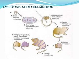 EMBRYONIC STEM CELL METHOD
 