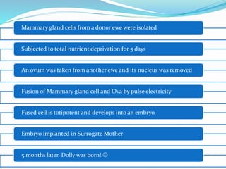 Mammary gland cells from a donor ewe were isolated
Subjected to total nutrient deprivation for 5 days
An ovum was taken from another ewe and its nucleus was removed
Fusion of Mammary gland cell and Ova by pulse electricity
Fused cell is totipotent and develops into an embryo
Embryo implanted in Surrogate Mother
5 months later, Dolly was born! 
 