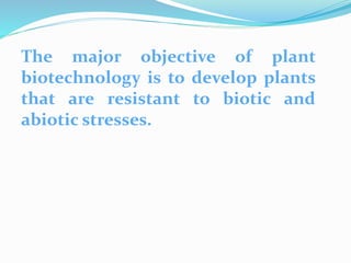 The major objective of plant
biotechnology is to develop plants
that are resistant to biotic and
abiotic stresses.
 