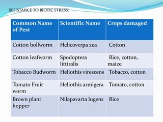 RESISTANCE TO BIOTIC STRESS:
Common Name
of Pest
Scientific Name Crops damaged
Cotton bollworm Helicoverpa zea Cotton
Cotton leafworm Spodoptera
littiralis
Rice, cotton,
maize
Tobacco Budworm Heliothis virescens Tobacco, cotton
Tomato Fruit
worm
Heliothis armigera Tomato, cotton
Brown plant
hopper
Nilapavarta lugens Rice
 