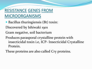 RESISTANCE GENES FROM
MICROORGANISMS
 Bacillus thuringiensis (Bt) toxin:
Discovered by Ishiwaki 1901
Gram negative, soil bacterium
Produces parasporal crystalline protein with
insecticidal toxin i.e, ICP- Insecticidal Crystalline
Protein.
These proteins are also called Cry proteins.
 
