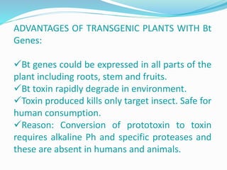 ADVANTAGES OF TRANSGENIC PLANTS WITH Bt
Genes:
Bt genes could be expressed in all parts of the
plant including roots, stem and fruits.
Bt toxin rapidly degrade in environment.
Toxin produced kills only target insect. Safe for
human consumption.
Reason: Conversion of prototoxin to toxin
requires alkaline Ph and specific proteases and
these are absent in humans and animals.
 