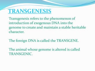 TRANSGENESIS
Transgenesis refers to the phenomenon of
introduction of exogenous DNA into the
genome to create and maintain a stable heritable
character.
The foreign DNA is called the TRANSGENE.
The animal whose genome is altered is called
TRANSGENIC.
 