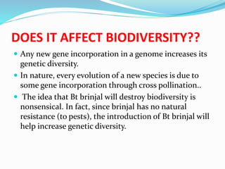 DOES IT AFFECT BIODIVERSITY??
 Any new gene incorporation in a genome increases its
genetic diversity.
 In nature, every evolution of a new species is due to
some gene incorporation through cross pollination..
 The idea that Bt brinjal will destroy biodiversity is
nonsensical. In fact, since brinjal has no natural
resistance (to pests), the introduction of Bt brinjal will
help increase genetic diversity.
 