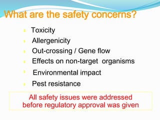What are the safety concerns?
 Toxicity
 Allergenicity
 Out-crossing / Gene flow
 Effects on non-target organisms

Environmental impact
 Pest resistance
All safety issues were addressed
before regulatory approval was given
 