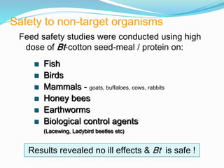 Safety to non-target organisms
Feed safety studies were conducted using high
dose of Bt-cotton seed-meal / protein on:
 Fish
 Birds
 Mammals - goats, buffaloes, cows, rabbits
 Honey bees
 Earthworms
 Biological control agents
(Lacewing, Ladybird beetles etc)
Results revealed no ill effects & Bt is safe !
 