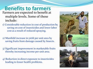 Benefits to farmers
Farmers are expected to benefit at
multiple levels. Some of these
include:
1) Considerable reduction in cost of production by
saving on cost of insecticides and lower labor
cost as a result of reduced spraying.
2) Manifold increase in yield per unit area by
saving fruits from damage caused by Insects.
3) Significant improvement in marketable fruits
thereby increasing income per unit area.
4) Reduction in direct exposure to insecticides
leading to lesser health problems.
 
