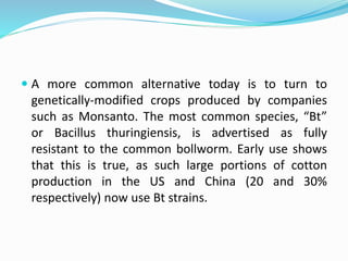  A more common alternative today is to turn to
genetically-modified crops produced by companies
such as Monsanto. The most common species, “Bt”
or Bacillus thuringiensis, is advertised as fully
resistant to the common bollworm. Early use shows
that this is true, as such large portions of cotton
production in the US and China (20 and 30%
respectively) now use Bt strains.
 