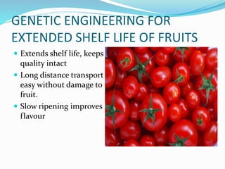 GENETIC ENGINEERING FOR
EXTENDED SHELF LIFE OF FRUITS
 Extends shelf life, keeps
quality intact
 Long distance transport
easy without damage to
fruit.
 Slow ripening improves
flavour
 