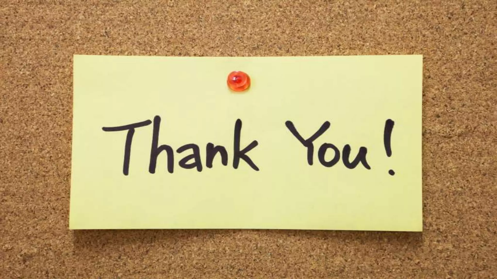 genetically modified organisms in the field of bio-remediation