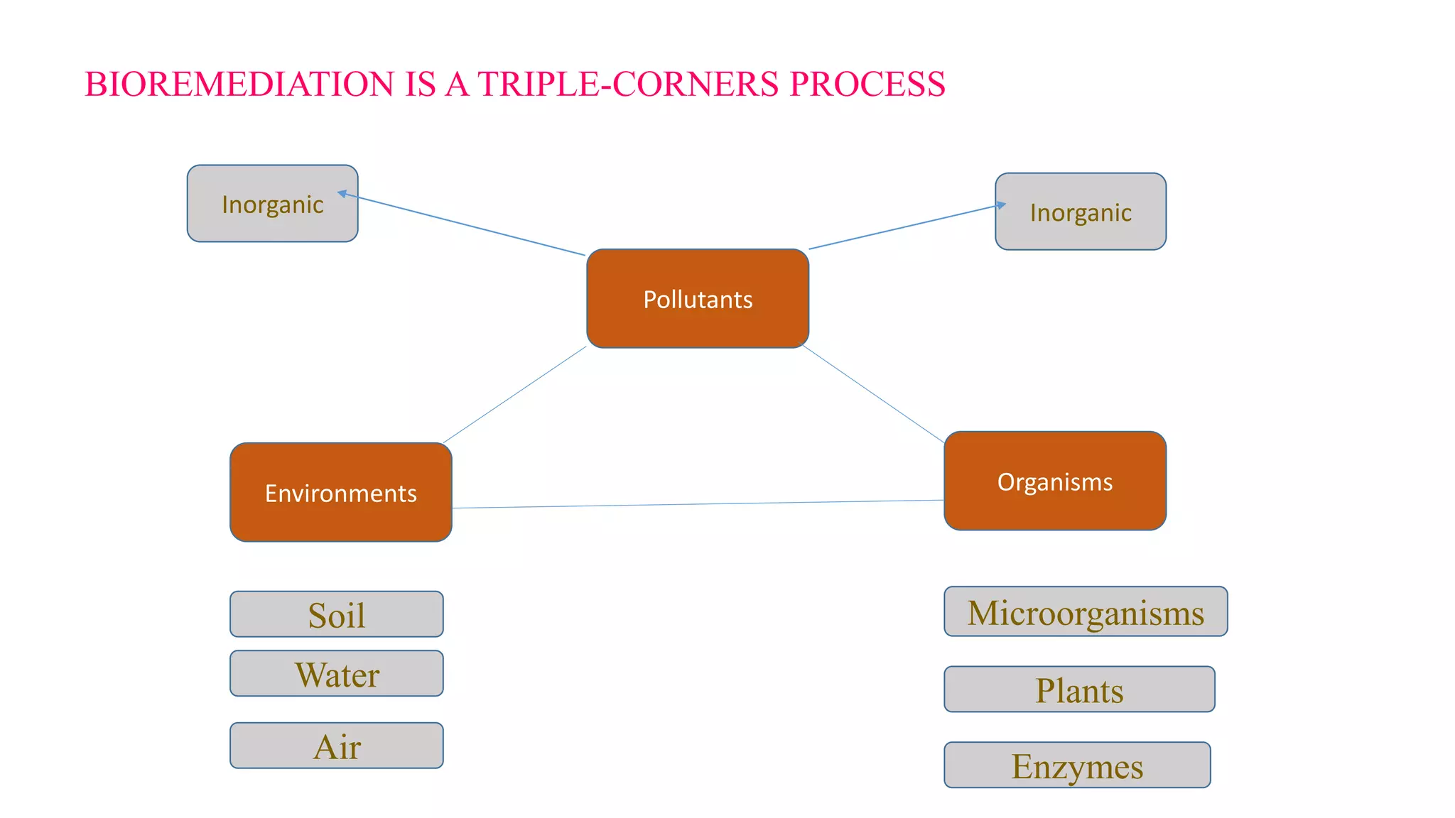 BIOREMEDIATION IS A TRIPLE-CORNERS PROCESS
Pollutants
Inorganic Inorganic
Environments Organisms
Soil
Water
Air
Microorganisms
Plants
Enzymes
 
