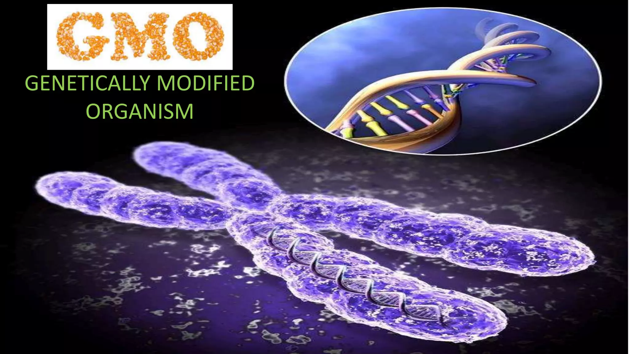 GENETICALLY MODIFIED
ORGANISM
 