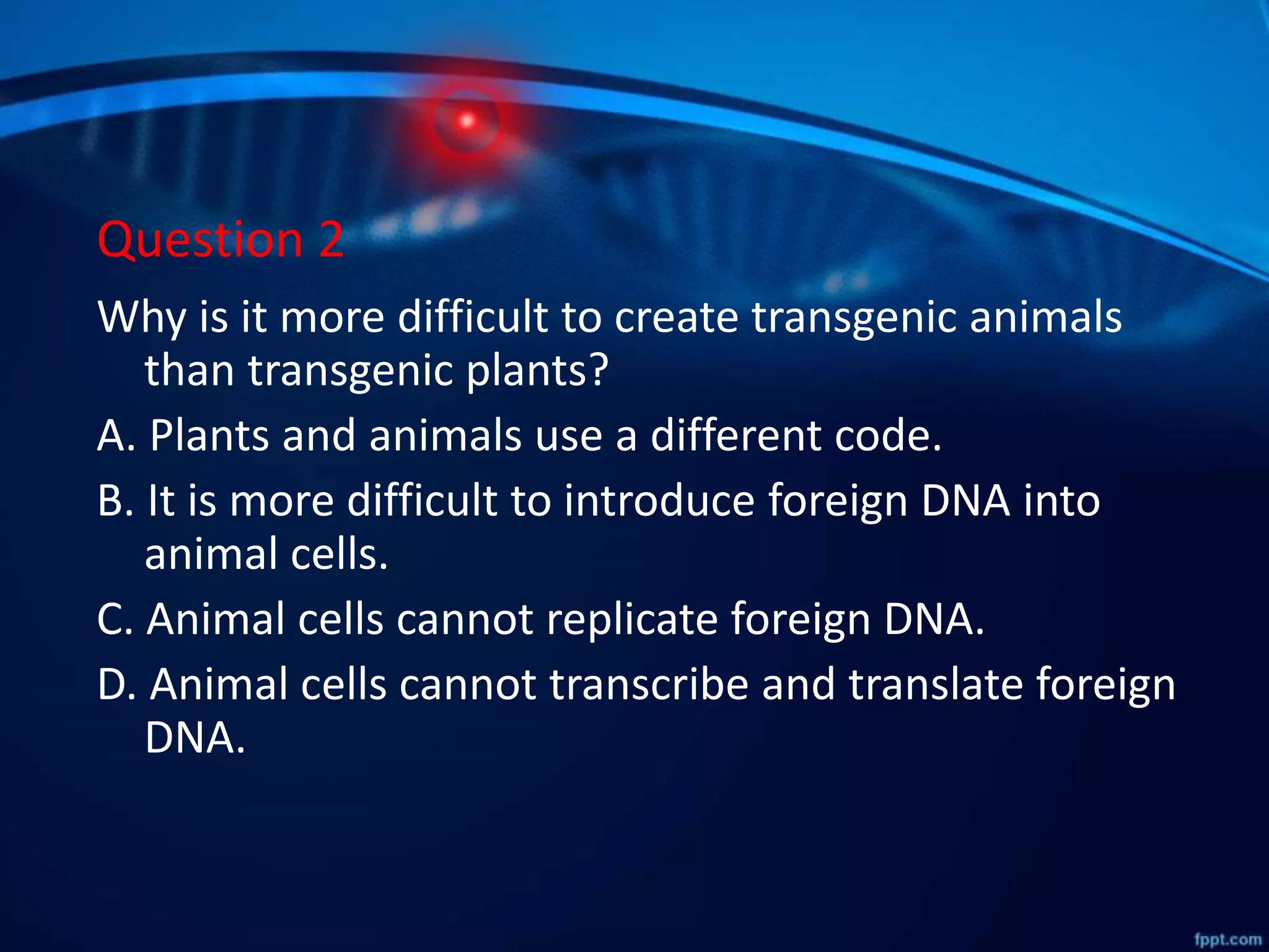 Question 2
Why is it more difficult to create transgenic animals
than transgenic plants?
A. Plants and animals use a different code.
B. It is more difficult to introduce foreign DNA into
animal cells.
C. Animal cells cannot replicate foreign DNA.
D. Animal cells cannot transcribe and translate foreign
DNA.
 