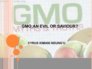 GMO;AN EVIL OR SAVIOUR?
CYRUS KIMANI NDUNG’U
 