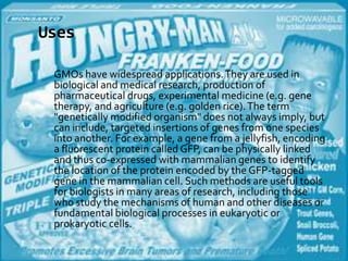 UsesGMOs have widespread applications. They are used in biological and medical research, production of pharmaceutical drugs, experimental medicine (e.g. gene therapy, and agriculture (e.g. golden rice). The term "genetically modified organism" does not always imply, but can include, targeted insertions of genes from one species into another. For example, a gene from a jellyfish, encoding a fluorescent protein called GFP, can be physically linked and thus co-expressed with mammalian genes to identify the location of the protein encoded by the GFP-tagged gene in the mammalian cell. Such methods are useful tools for biologists in many areas of research, including those who study the mechanisms of human and other diseases or fundamental biological processes in eukaryotic or prokaryotic cells.