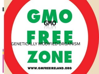 GENETICALLY MODIFIED ORGANISM GMO 