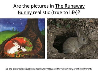 Let’s make
an abstract
artwork
about
Rabbityness
and
digergidoos
 