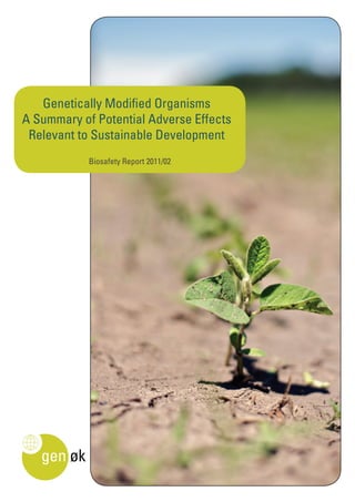 Genetically Modifi ed Organisms 
A Summary of Potential Adverse Effects 
Relevant to Sustainable Development 
Biosafety Report 2011/02 
 