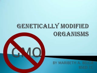 GENETICALLY MODIFIED ORGANISMS GMO BY MARIBETH A. BELGA BSED 1C 