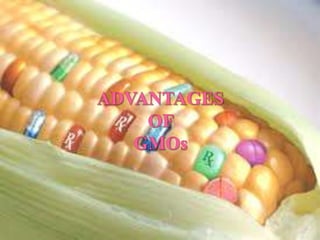 ADVANTAGESOF GMOs