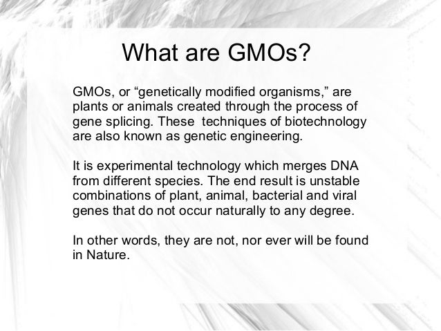what are gmo s