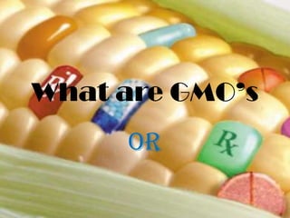 What are GMO’s or 