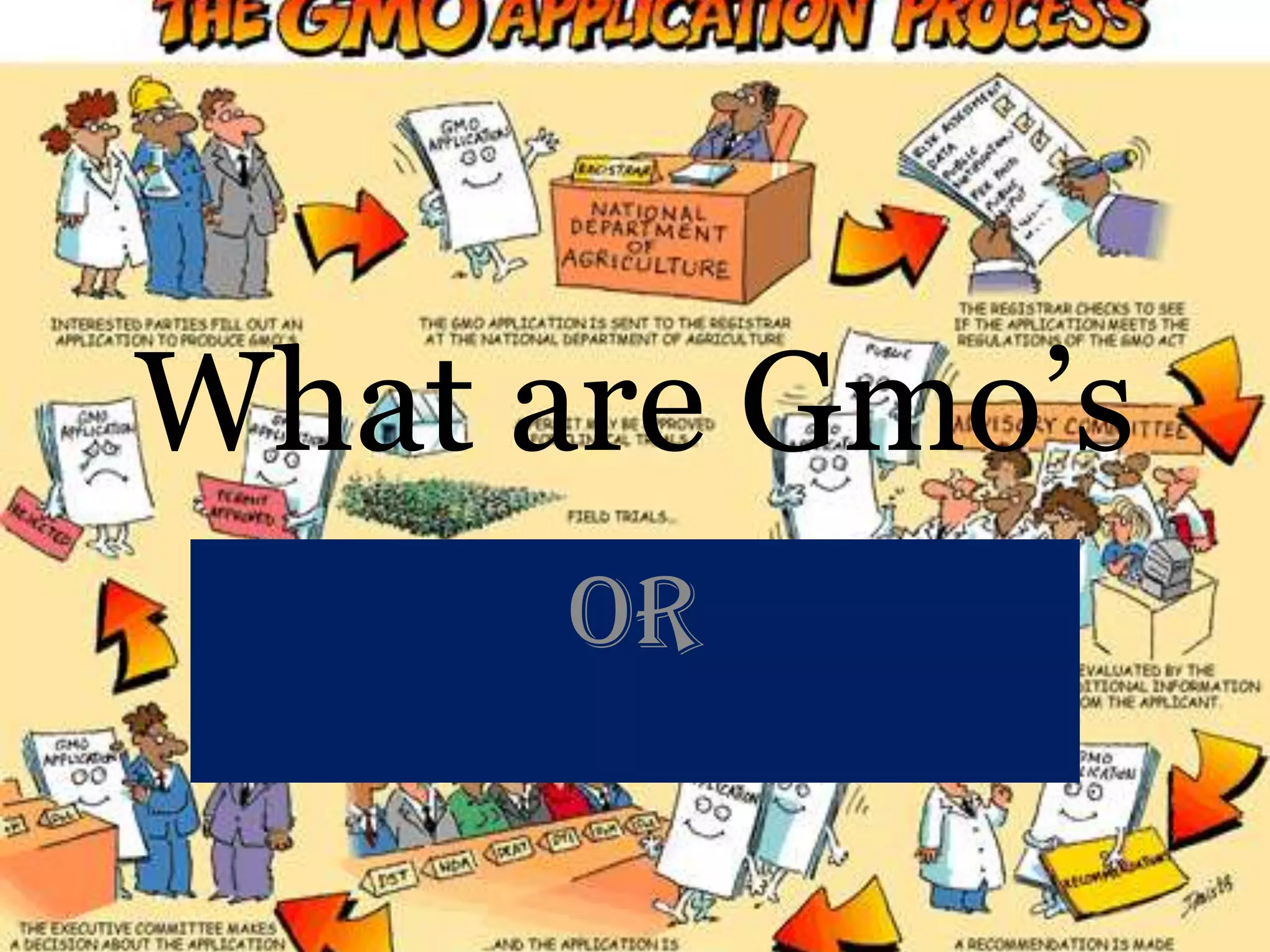 What are Gmo’sOr