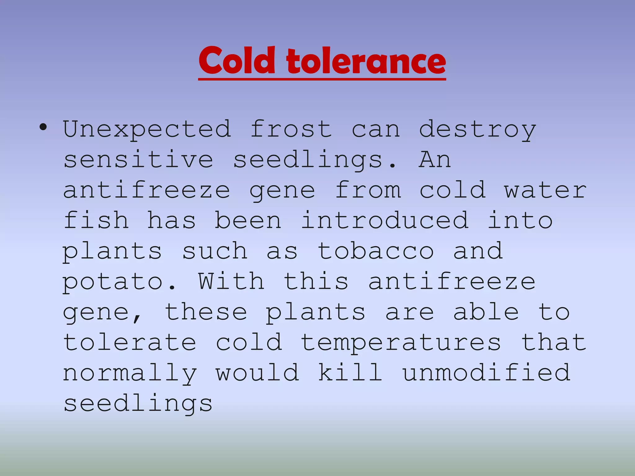 Cold toleranceUnexpected frost can destroy sensitive seedlings. An antifreeze gene from cold water fish has been introduced into plants such as tobacco and potato. With this antifreeze gene, these plants are able to tolerate cold temperatures that normally would kill unmodified seedlings
