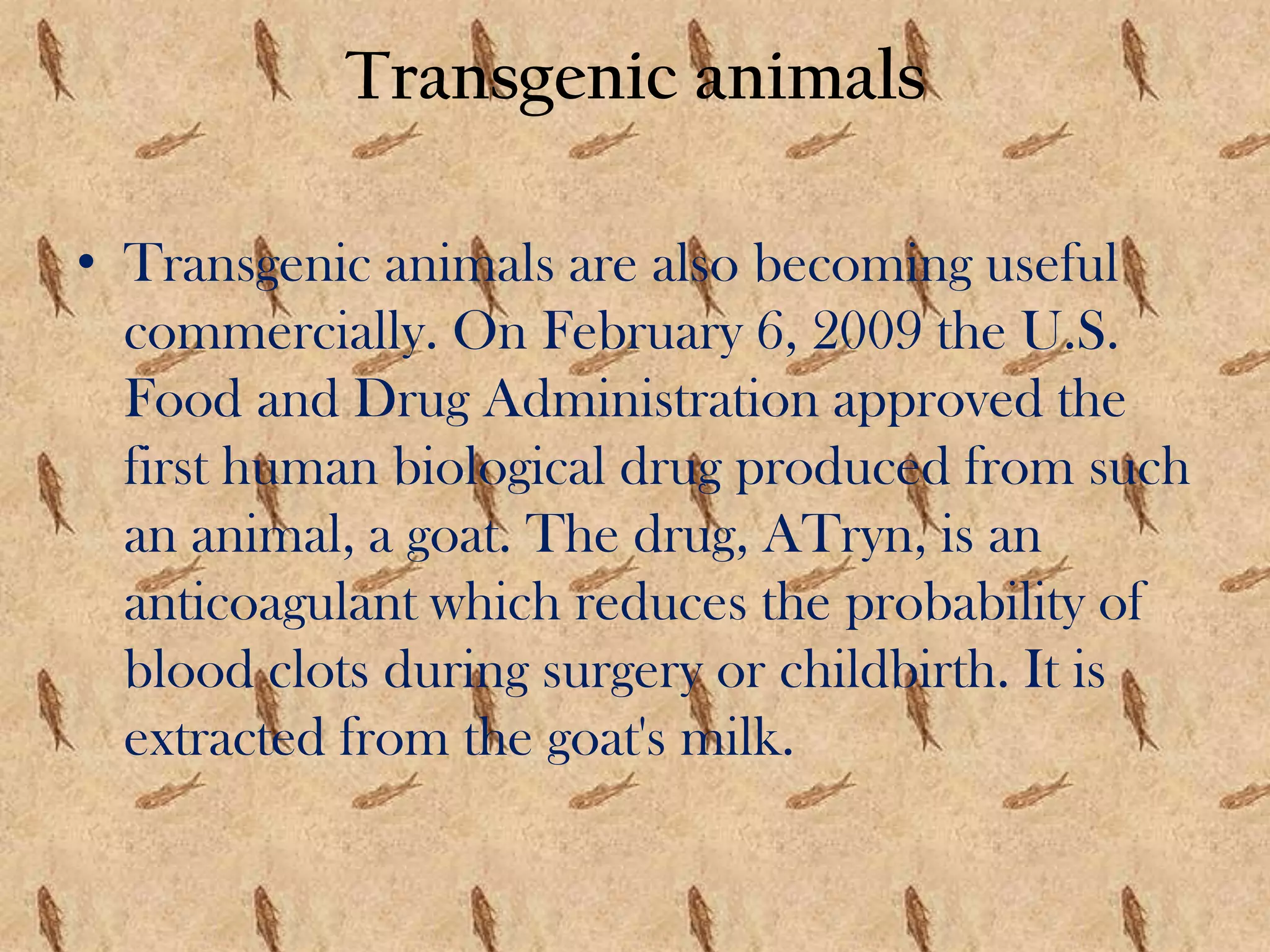 Transgenic animalsTransgenic animals are also becoming useful commercially. On February 6, 2009 the U.S. Food and Drug Administration approved the first human biological drug produced from such an animal, a goat. The drug, ATryn, is an anticoagulant which reduces the probability of blood clots during surgery or childbirth. It is extracted from the goat's milk.