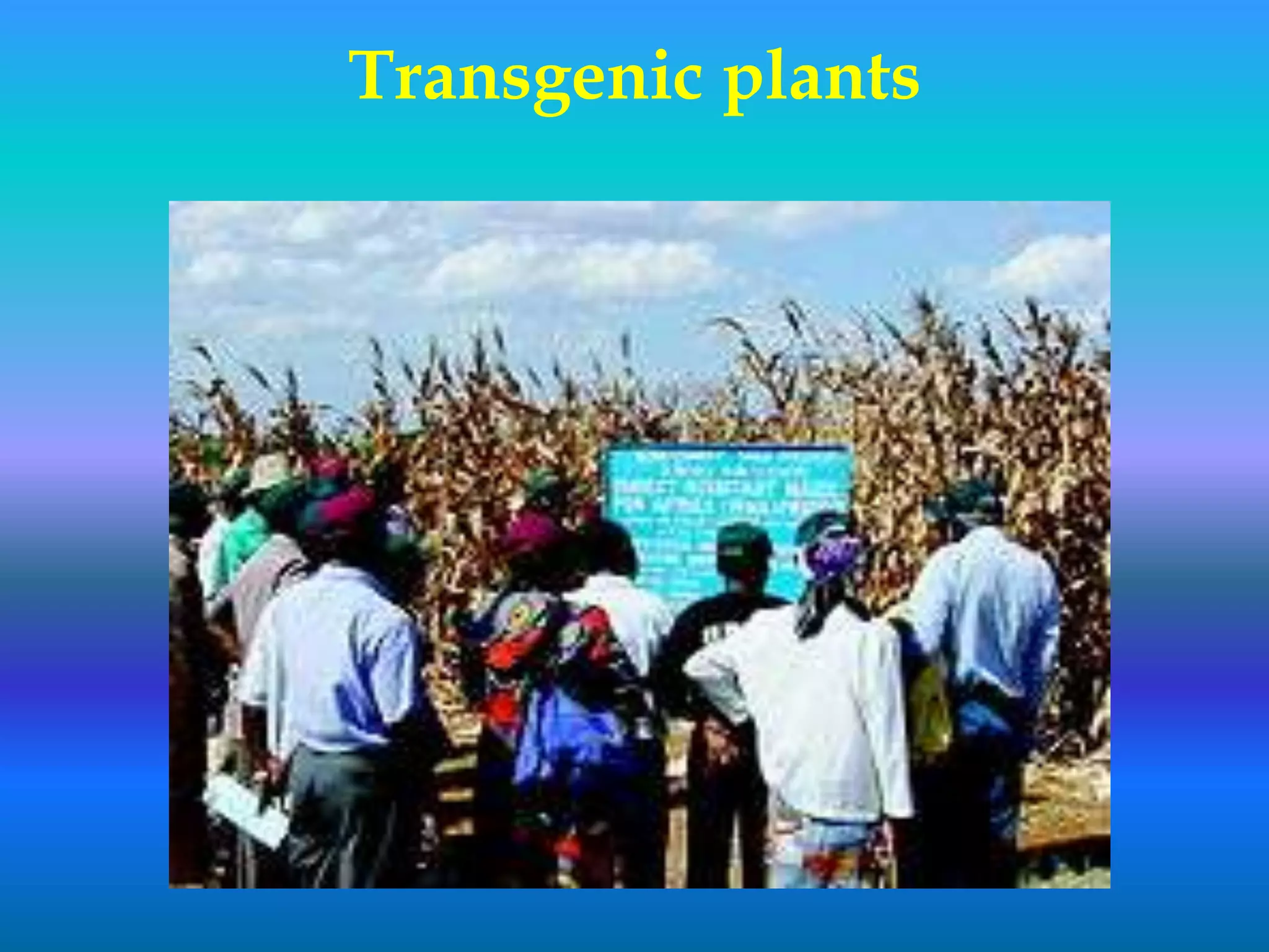 Transgenic plants