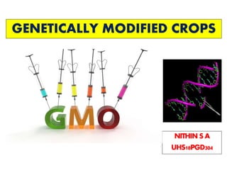 GENETICALLY MODIFIED CROPS
NITHIN S A
UHS18PGD304
 