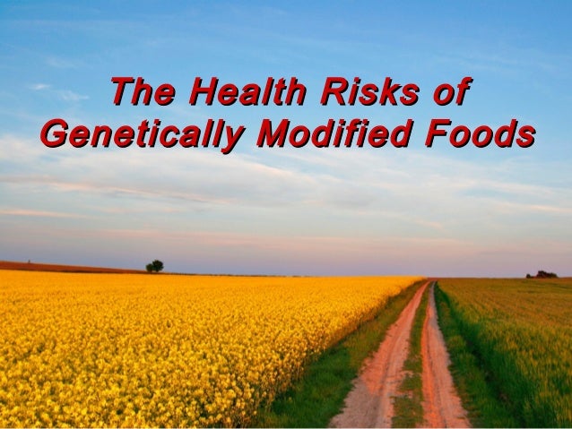 the health risks of genetically modified gmo foods the health risks of genetically modified gmo foods the health risks of genetically modified gmo foods the health risks of genetically modified gmo foods