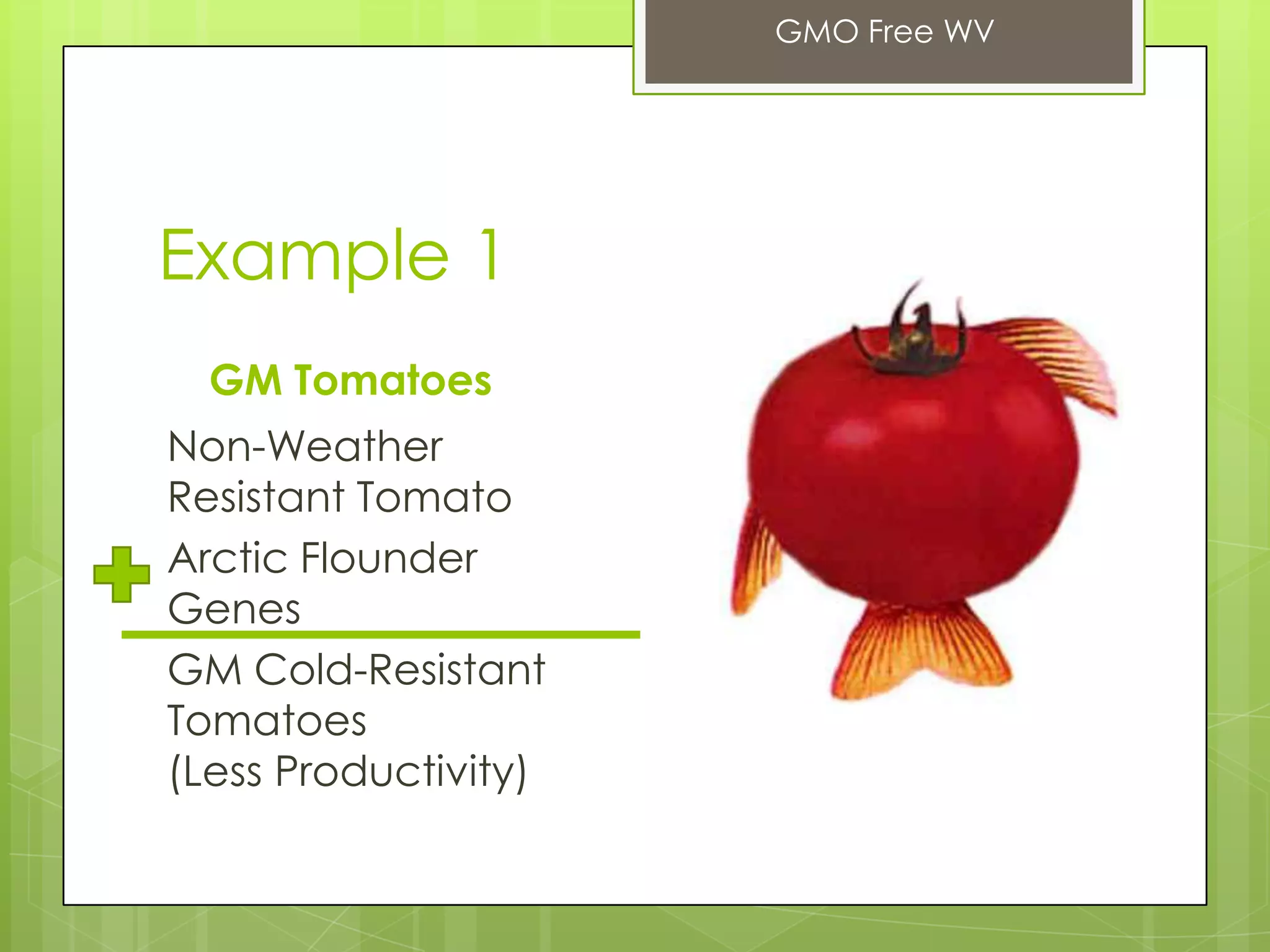 Example 1
GM Tomatoes
Non-Weather
Resistant Tomato
Arctic Flounder
Genes
GM Cold-Resistant
Tomatoes
(Less Productivity)
GMO Free WV
 