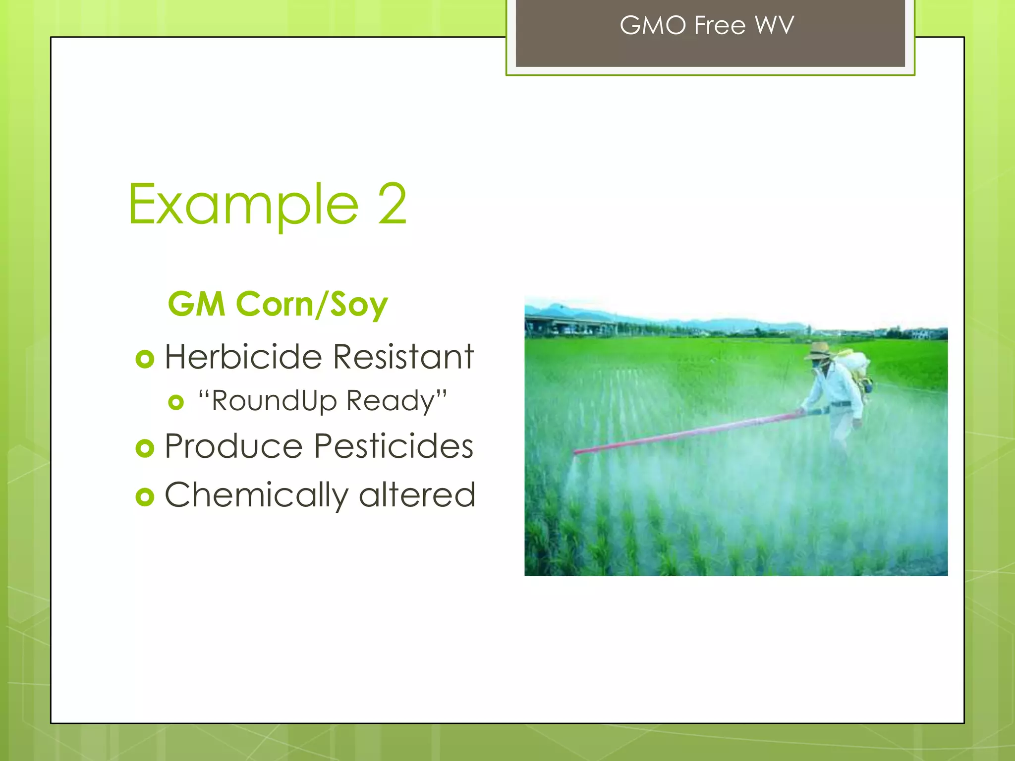 Example 2
GM Corn/Soy
 Herbicide Resistant
 “RoundUp Ready”
 Produce Pesticides
 Chemically altered
GMO Free WV
 