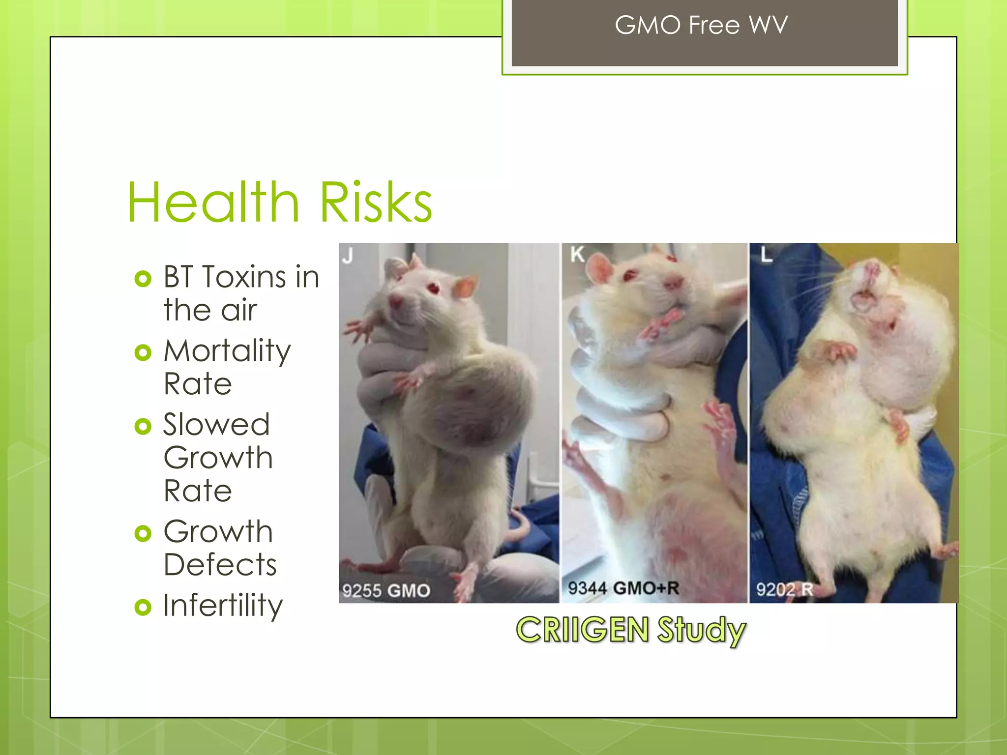 Health Risks
 BT Toxins in
the air
 Mortality
Rate
 Slowed
Growth
Rate
 Growth
Defects
 Infertility
GMO Free WV
 