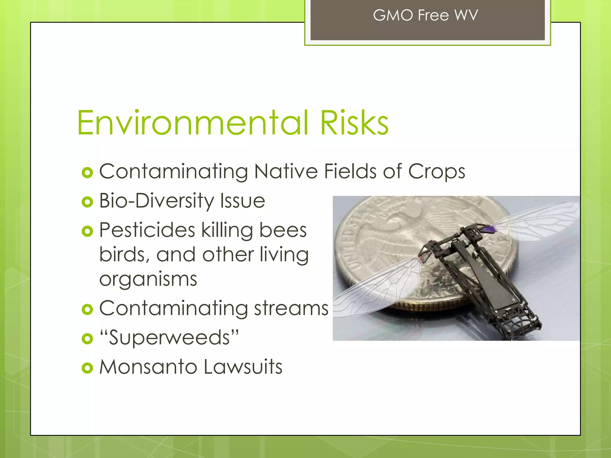 Environmental Risks
 Contaminating Native Fields of Crops
 Bio-Diversity Issue
 Pesticides killing bees
birds, and other living
organisms
 Contaminating streams
 “Superweeds”
 Monsanto Lawsuits
GMO Free WV
 