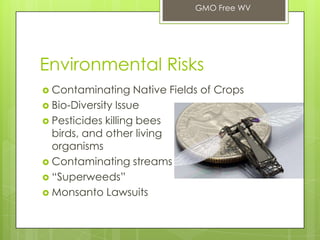 Environmental Risks
 Contaminating Native Fields of Crops
 Bio-Diversity Issue
 Pesticides killing bees
birds, and other living
organisms
 Contaminating streams
 “Superweeds”
 Monsanto Lawsuits
GMO Free WV
 
