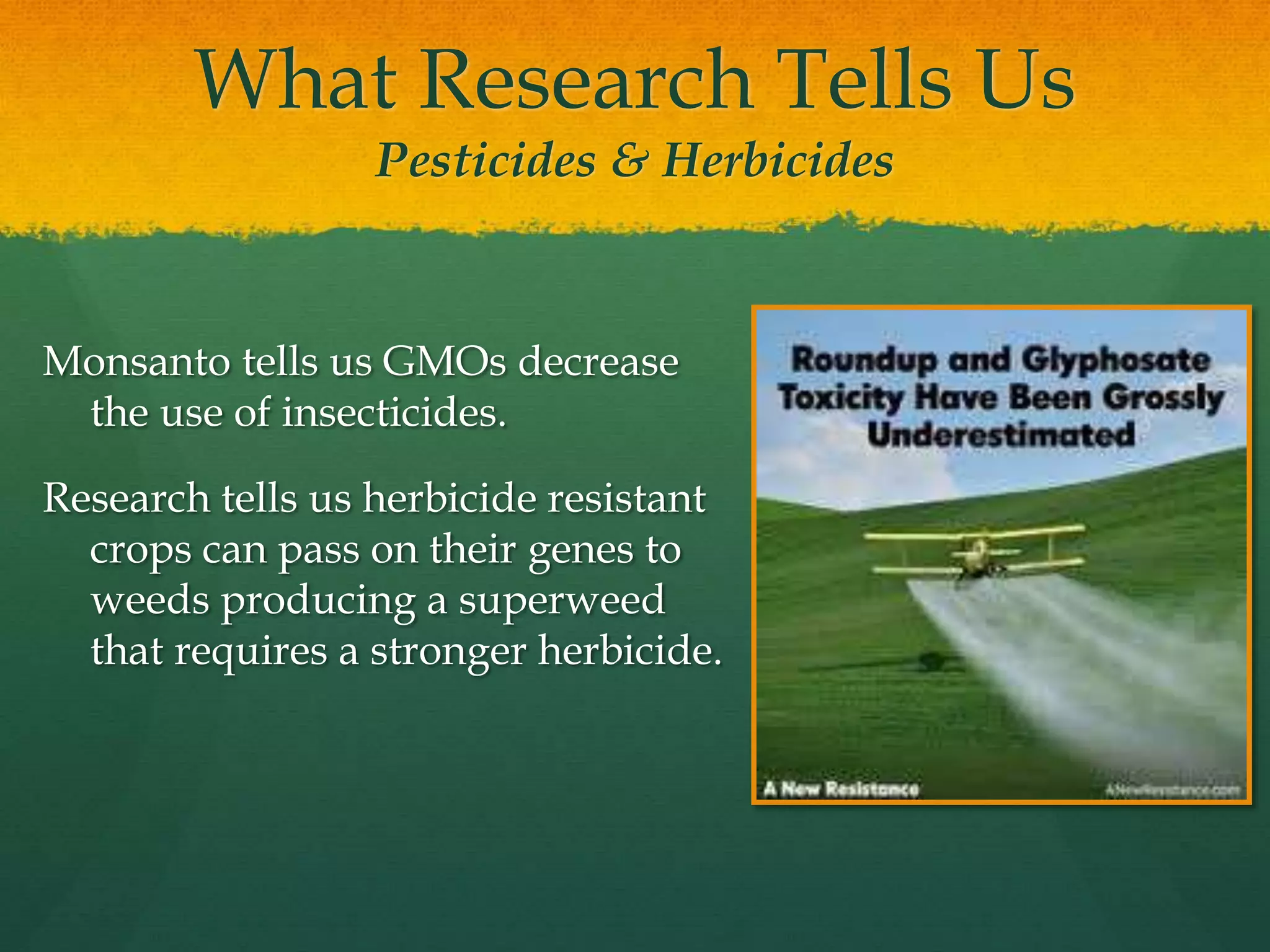 What Research Tells Us
Pesticides & Herbicides
Monsanto tells us GMOs decrease
the use of insecticides.
Research tells us herbicide resistant
crops can pass on their genes to
weeds producing a superweed
that requires a stronger herbicide.
 